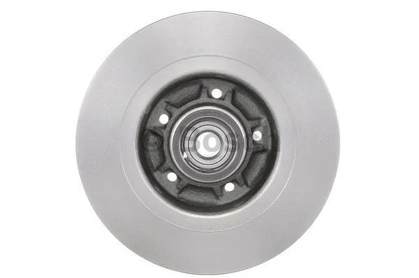 Brake Disc (0 986 479 607)
