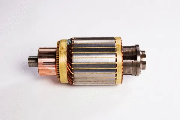 Armature, starter (2 004 007 005)