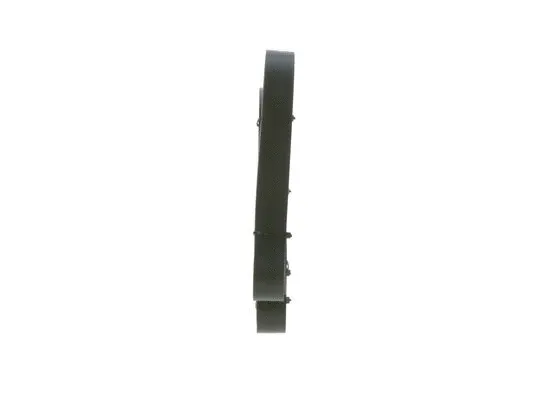 V-Ribbed Belt (1 987 946 277)