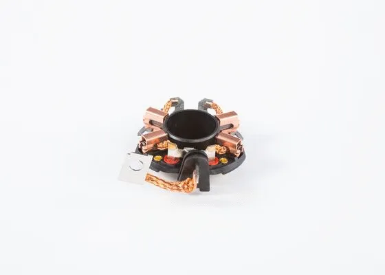 Holder, carbon brushes