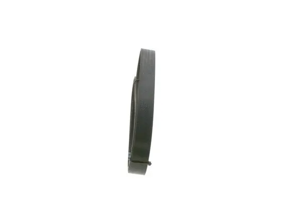 V-Ribbed Belt (1 987 945 741)