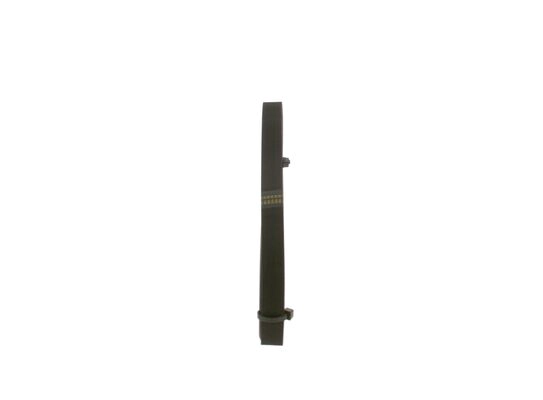 V-Ribbed Belt (1 987 947 929)