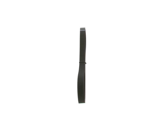 V-Ribbed Belt