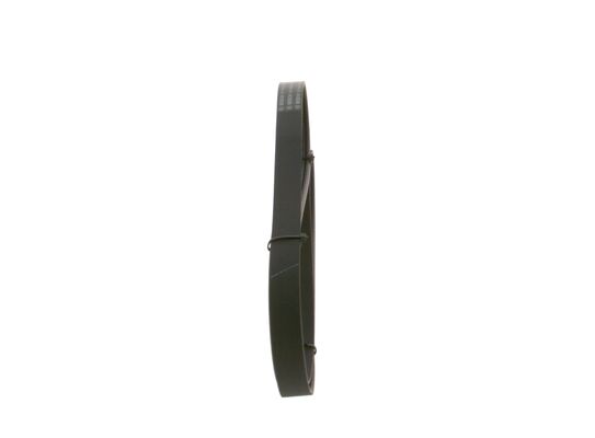 V-Ribbed Belt