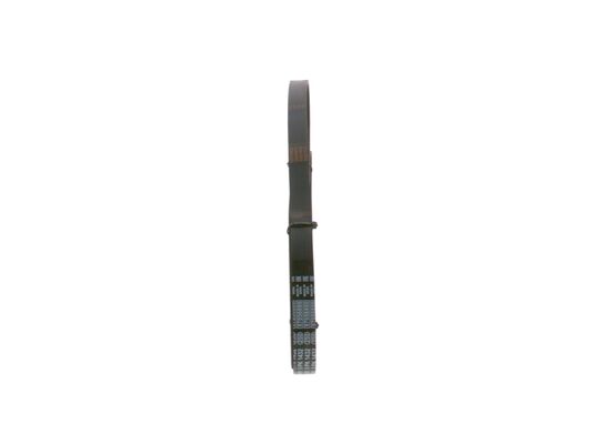 V-Ribbed Belt