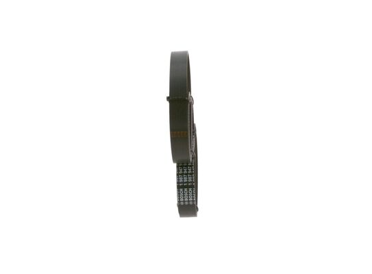 V-Ribbed Belt