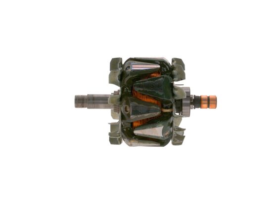 Rotor, alternator