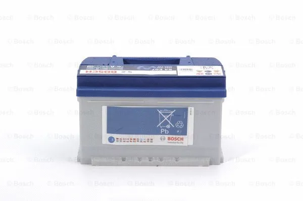 Starter Battery