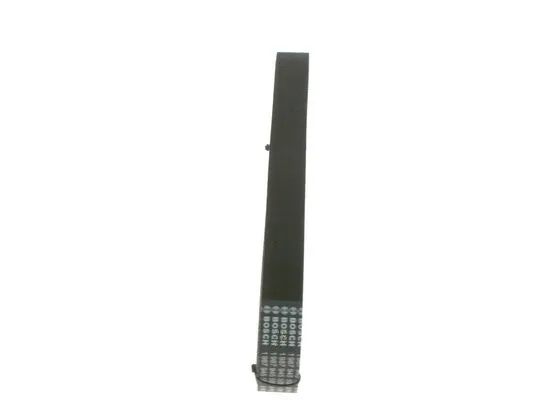 V-Ribbed Belt (1 987 945 508)