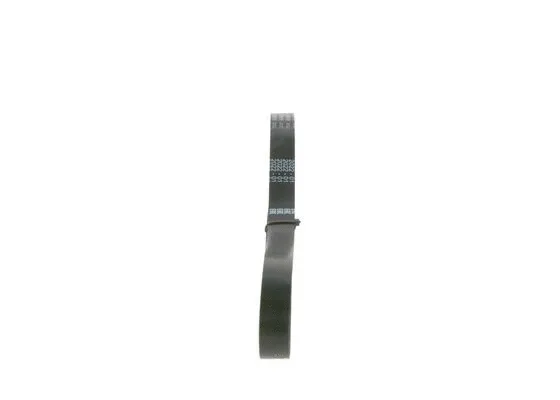V-Ribbed Belt