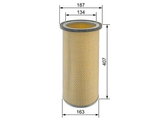 Secondary Air Filter
