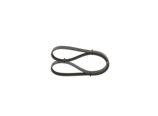 V-Ribbed Belt