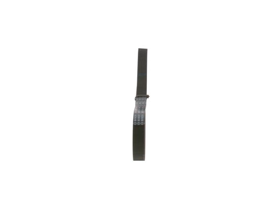 V-Ribbed Belt
