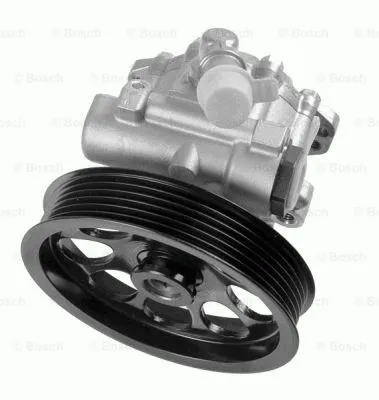 Hydraulic Pump, steering (K S00 000 514)