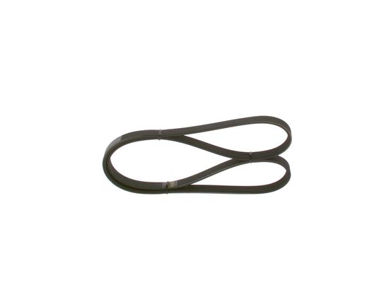 V-Ribbed Belt
