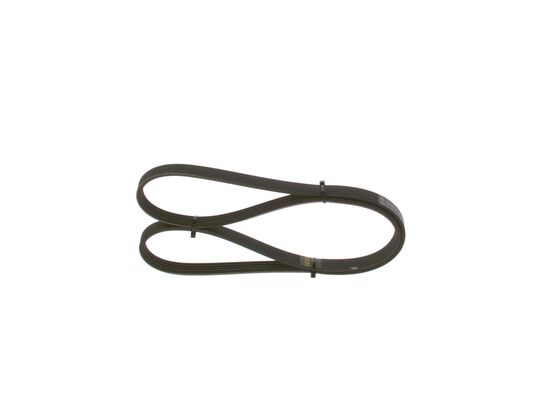 V-Ribbed Belt (1 987 948 365)