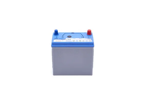 Starter Battery