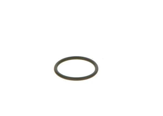 Rubber Ring (F 00V C38 042)