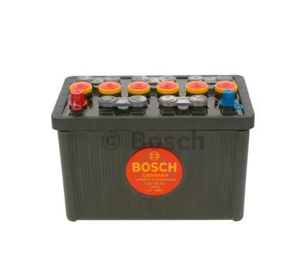 Starter Battery