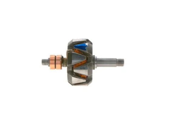 Rotor, alternator