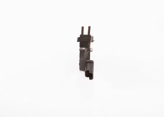 Alternator Regulator (F 042 320 418)