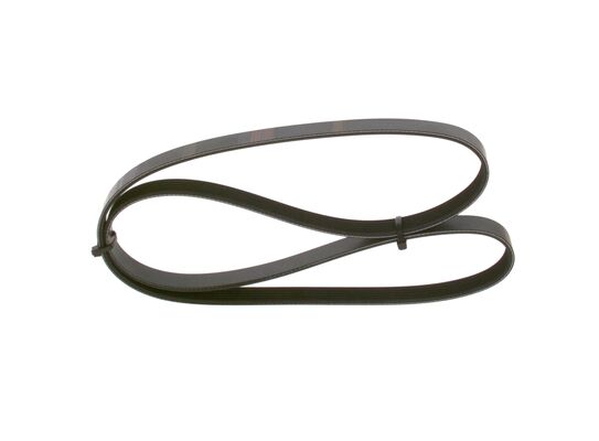 V-Ribbed Belt
