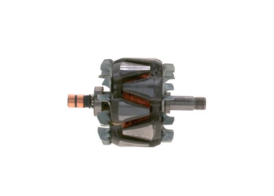 Rotor, alternator