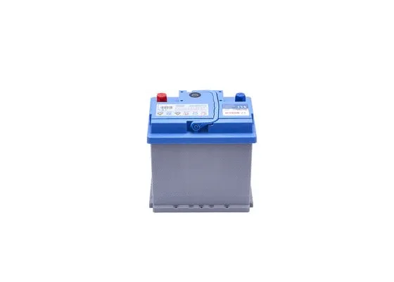 Starter Battery