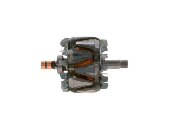 Rotor, alternator