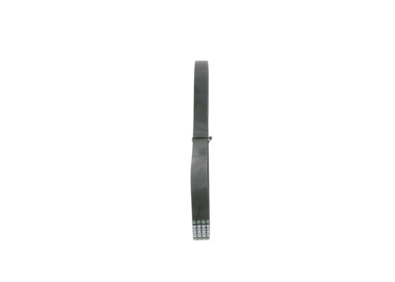 V-Ribbed Belt (1 987 946 138)
