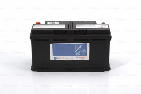 Starter Battery