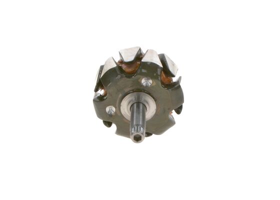 Rotor, alternator
