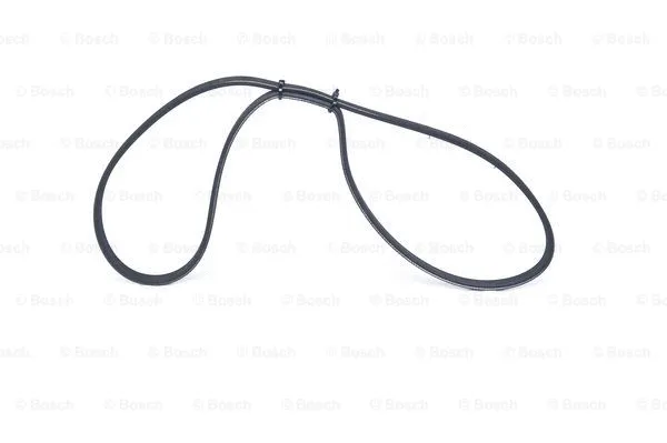 V-Ribbed Belt (1 987 947 801)