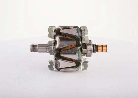 Rotor, alternator