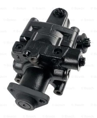 Hydraulic Pump, steering (K S00 001 378)
