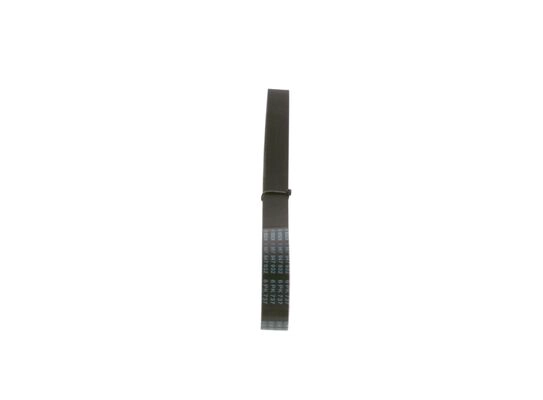 V-Ribbed Belt