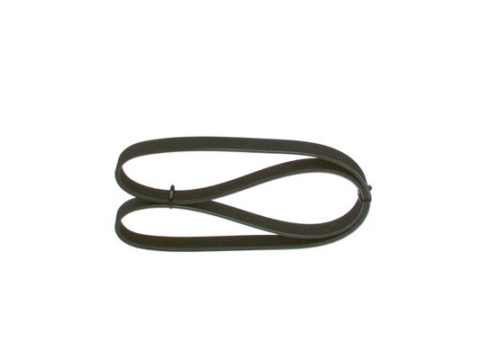 V-Ribbed Belt