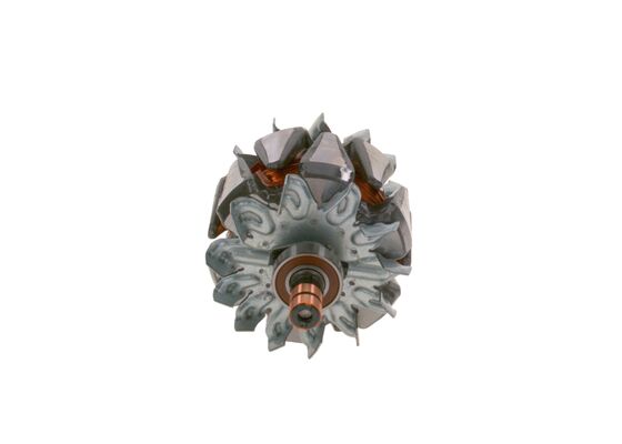 Rotor, alternator