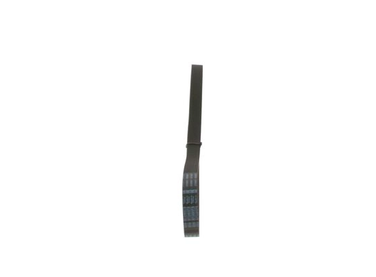 V-Ribbed Belt