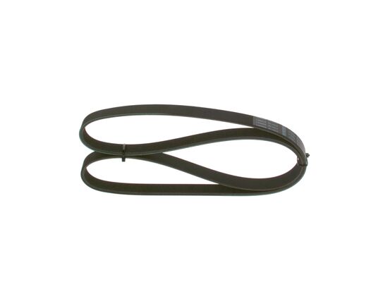 V-Ribbed Belt (1 987 947 887)