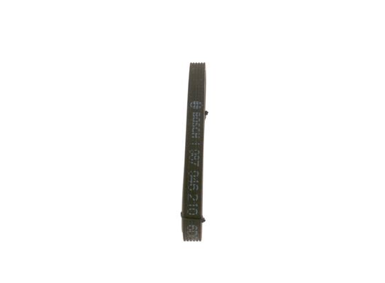 V-Ribbed Belt