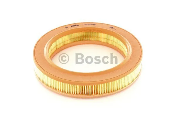 Air Filter (1 457 429 050)