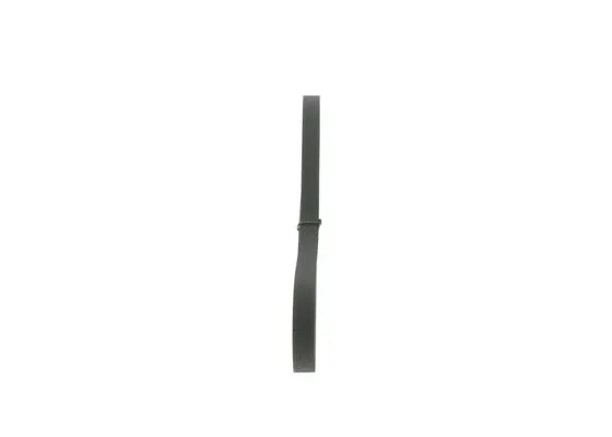 V-Ribbed Belt