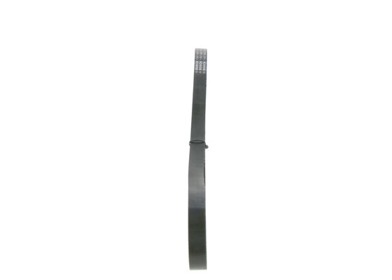 V-Ribbed Belt (1 987 946 117)
