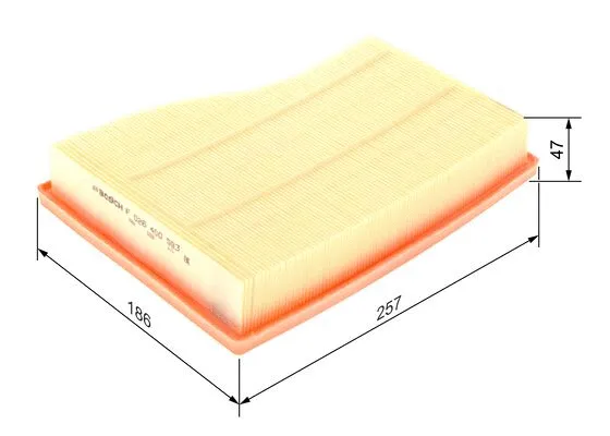 Air Filter (F 026 400 593)