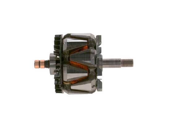Rotor, alternator