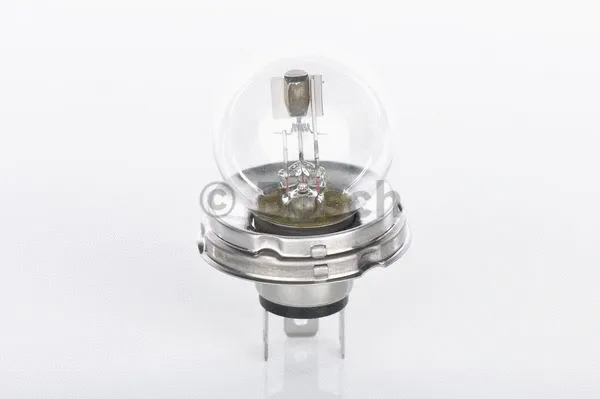 Bulb (1 987 302 421)