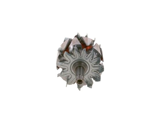 Rotor, alternator
