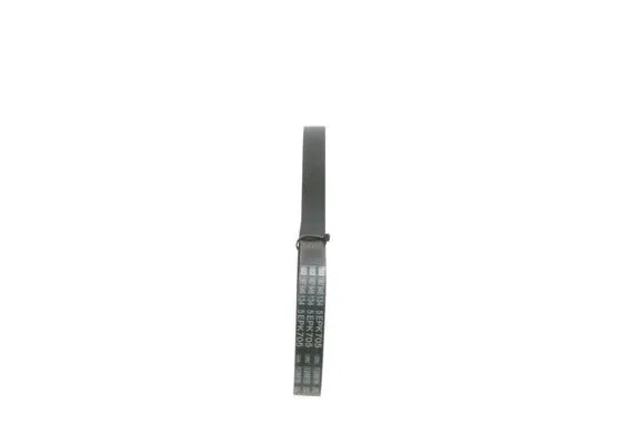 V-Ribbed Belt