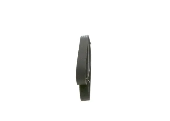 V-Ribbed Belt